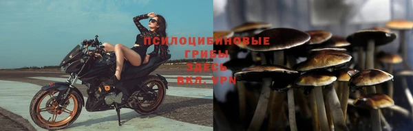 дмт Арсеньев