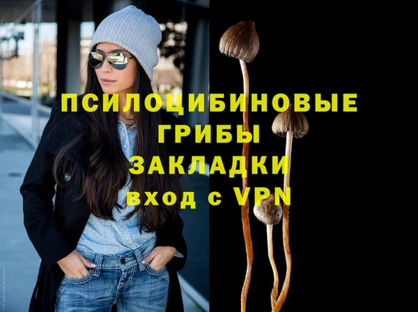 ПСИЛОЦИБИНОВЫЕ ГРИБЫ Алексеевка